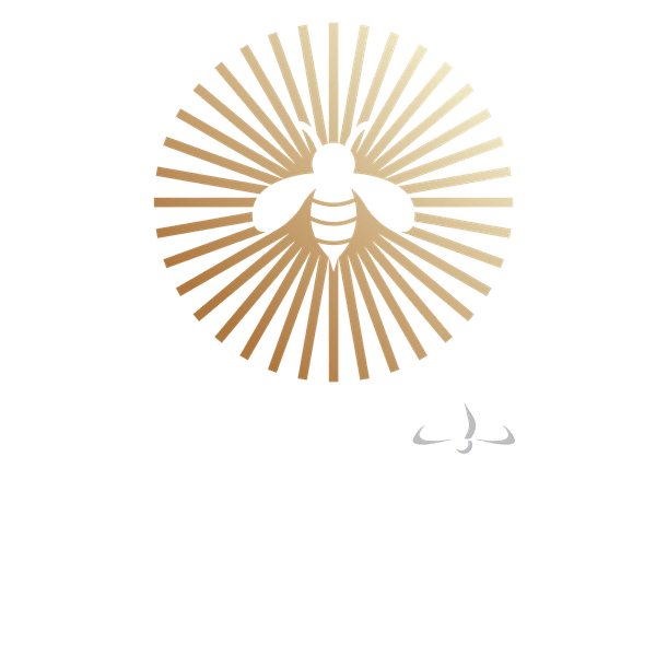 Maison Zue, brasserie revisitée et bar à Saumur par le chef Marlon Medina